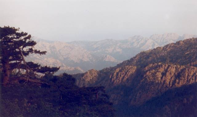 [corse01.jpg]