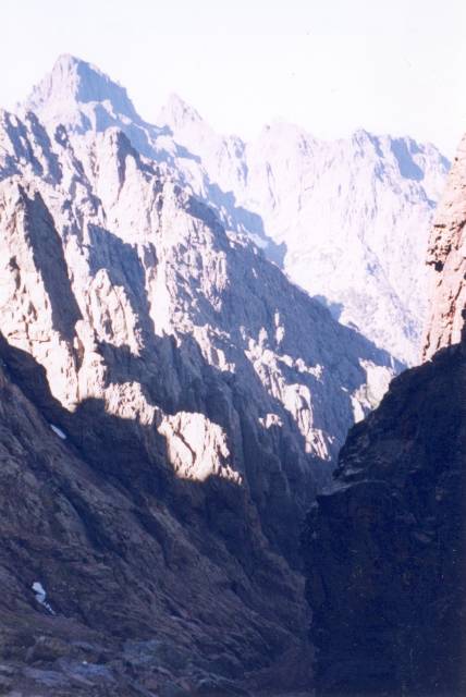 [corse11.jpg]