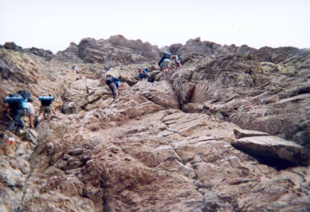 [corse13.jpg]