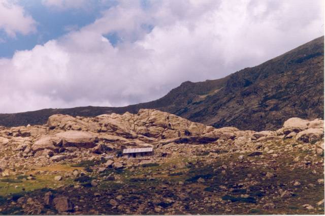 [corse03.jpg]