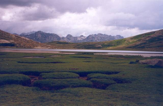 [corse07.jpg]