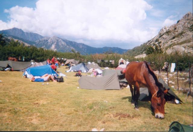 [corse11.jpg]